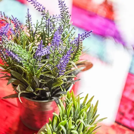 Parking - Le Wild Forest - Centre Historique *