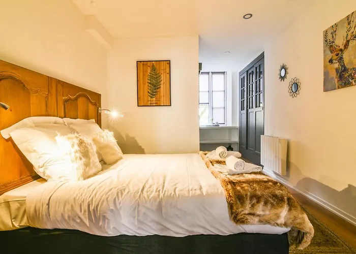 Parking - Le Wild Forest - Centre Historique * Phalsbourg