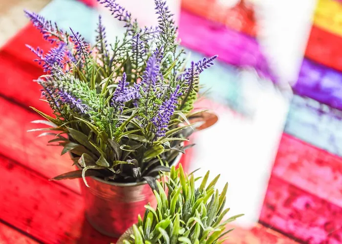 Parking - Le Wild Forest - Centre Historique *